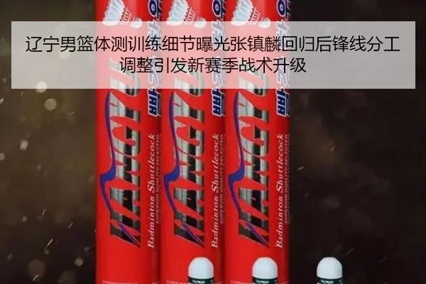 辽宁男篮体测训练细节曝光张镇麟回归后锋线分工调整引发新赛季战术升级